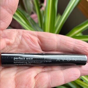 AVON Sun Kissed Ginger Perfect Wear Lipstick NOS Cosmetic P304